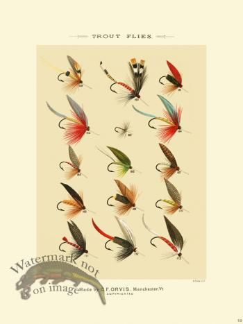 Favorite Flies 18 Trout